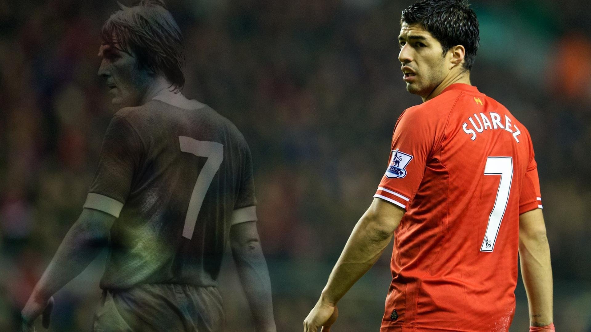 新闻中心组织社会公益活动，公益新闻报道