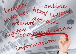 ayx体育-校园体育赛事品牌建设路径与传播策略研究，校园体育竞赛体系